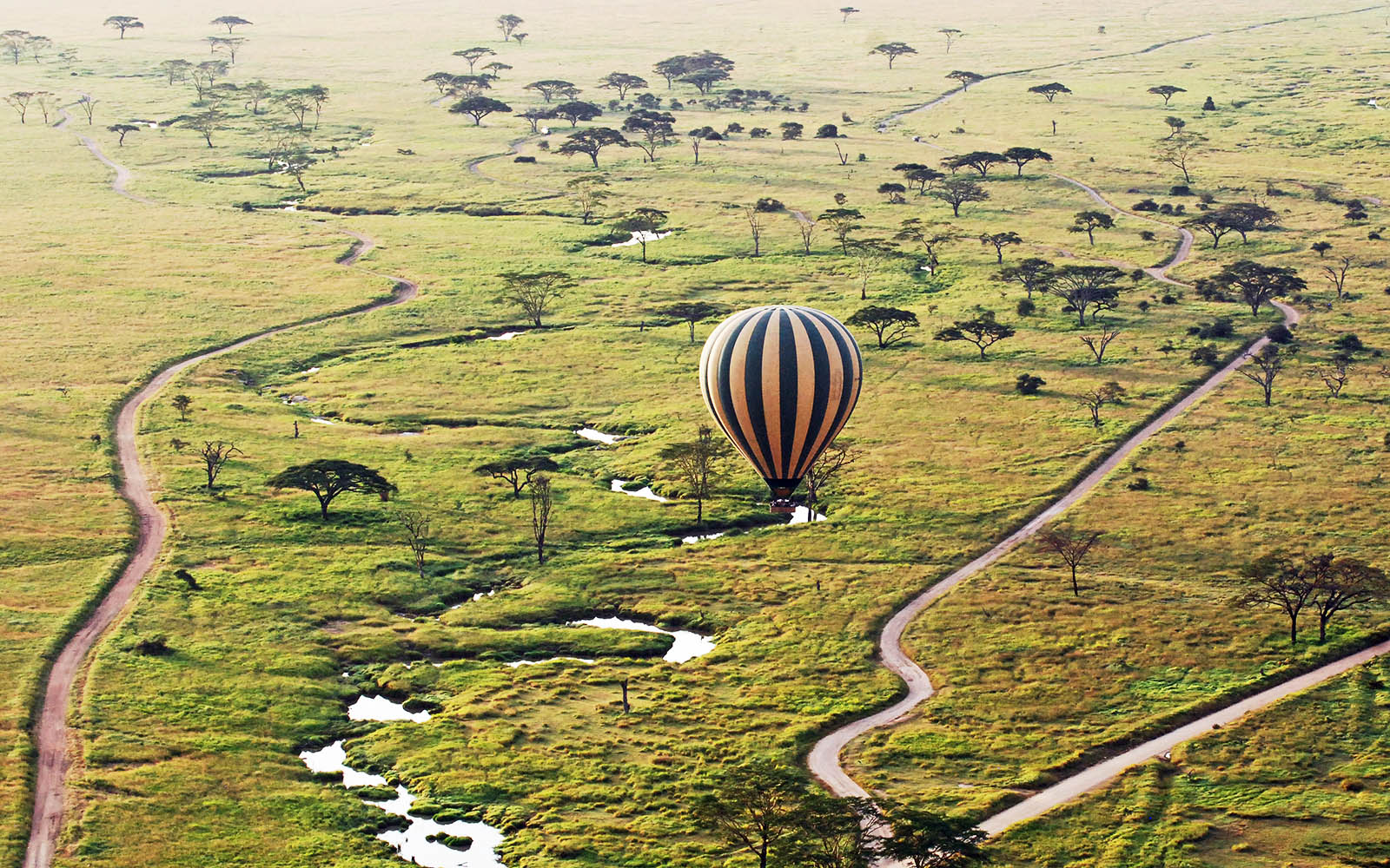 Floating along the Serengeti