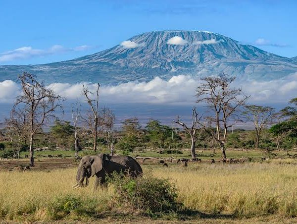 kilimanjaro climb